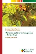 Mamona: cultivares Paragua?u e Nordestina