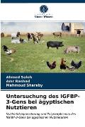 Untersuchung des IGFBP-3-Gens bei ?gyptischen Nutztieren