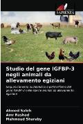 Studio del gene IGFBP-3 negli animali da allevamento egiziani