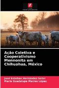 A??o Coletiva e Cooperativismo Mennonita em Chihuahua, M?xico