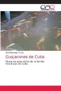 Guajacones de Cuba