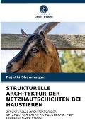 Strukturelle Architektur Der Netzhautschichten Bei Haustieren