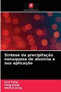 S?ntese da precipita??o nonaquosa de alumina e sua aplica??o