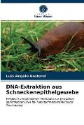 DNA-Extraktion aus Schneckenepithelgewebe