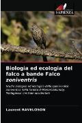 Biologia ed ecologia del falco a bande Falco zoniventris