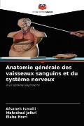 Anatomie g?n?rale des vaisseaux sanguins et du syst?me nerveux