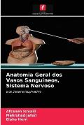 Anatomia Geral dos Vasos Sangu?neos, Sistema Nervoso