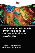 D?tection de Salmonella enteritidis dans les cellules ?pith?liales intestinales