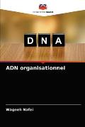 ADN organisationnel