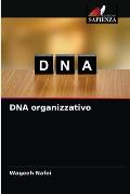 DNA organizzativo