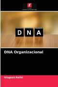 DNA Organizacional