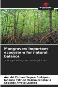 Mangroves: important ecosystem for natural balance