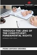 Through the Lens of the Constituent: Fundamental Rights
