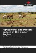 Agricultural and Pastoral Spaces in the Zinder Region