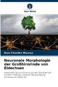Neuronale Morphologie der Gro?hirnrinde von Eidechsen