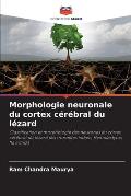 Morphologie neuronale du cortex c?r?bral du l?zard