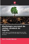 Morfologia neuronal do c?rtex cerebral do lagarto