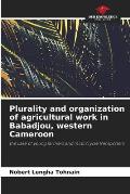 Plurality and organization of agricultural work in Babadjou, western Cameroon