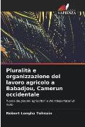 Pluralit? e organizzazione del lavoro agricolo a Babadjou, Camerun occidentale