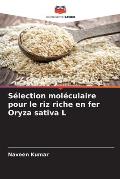 S?lection mol?culaire pour le riz riche en fer Oryza sativa L