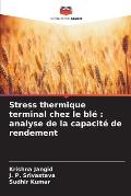 Stress thermique terminal chez le bl?: analyse de la capacit? de rendement