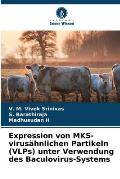 Expression von MKS-virus?hnlichen Partikeln (VLPs) unter Verwendung des Baculovirus-Systems