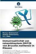 Immunreaktivit?t von rekombinantem OMP28 von Brucella melitensis in M?usen