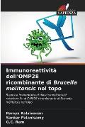 Immunoreattivit? dell'OMP28 ricombinante di Brucella melitensis nel topo