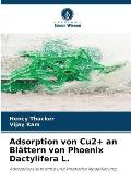 Adsorption von Cu2+ an Bl?ttern von Phoenix Dactylifera L.