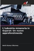 L'industria mineraria in Gujarat: Un nuovo approfondimento
