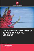 Tratamentos p?s-colheita na vida do vaso de Gladiolus