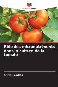 R?le des micronutriments dans la culture de la tomate