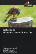Sistema di alimentazione di Falcon