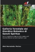 Galleria forestale del Giardino Botanico di Sancti Sp?ritus