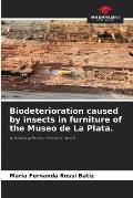Biodeterioration caused by insects in furniture of the Museo de La Plata.