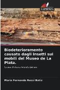 Biodeterioramento causato dagli insetti sui mobili del Museo de La Plata.