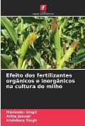 Efeito dos fertilizantes org?nicos e inorg?nicos na cultura do milho