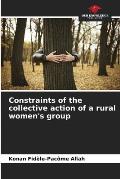 Constraints of the collective action of a rural women's group