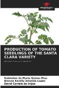 Production of Tomato Seedlings of the Santa Clara Variety