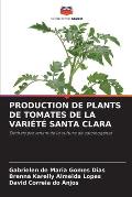 Production de Plants de Tomates de la Vari?t? Santa Clara