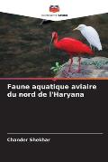 Faune aquatique aviaire du nord de l'Haryana