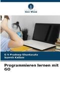 Programmieren lernen mit GO