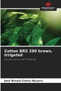 Cotton BRS 200 brown, irrigated