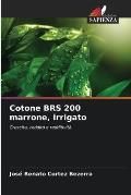 Cotone BRS 200 marrone, irrigato