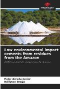 Low environmental impact cements from residues from the Amazon
