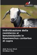 Individuazione della resistenza al benzimidazolo in Haemonchus contortus di capra