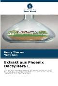 Extrakt aus Phoenix Dactylifera L.