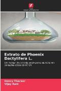 Extrato de Phoenix Dactylifera L.