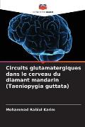 Circuits glutamatergiques dans le cerveau du diamant mandarin (Taeniopygia guttata)