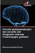 Circuiti glutammatergici nel cervello del fringuello zebrato (Taeniopygia guttata)